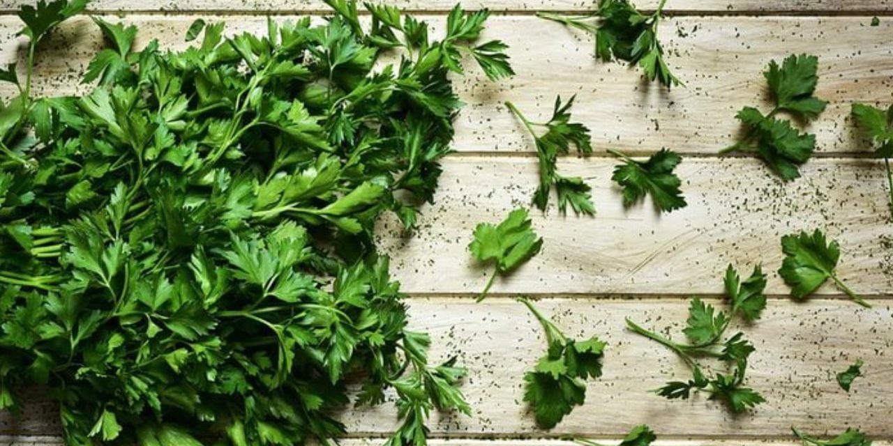 Health Benefits of Parsley